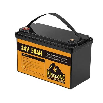 24V 50Ah 60Ah 100Ah 200Ah 230Ah 300Ah 400Ah 460Ah Batería de hierro de litio LifePo4 con BMS
