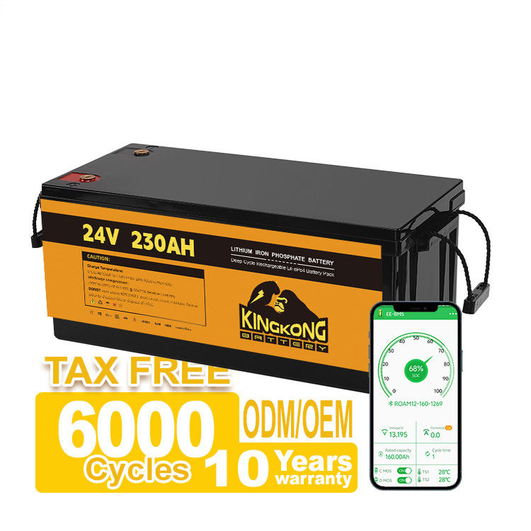 OEM 24V 100AH 200AH 230AH 12V Batería de iones de li para el sistema solar RV Motocicleta eléctrica