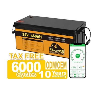 24V 50Ah 60Ah 100Ah 200Ah 230Ah 300Ah 400Ah 460Ah Batería de hierro de litio LifePo4 con BMS